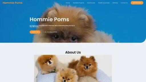 Screenshot of