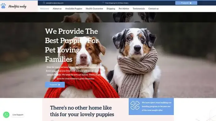 Screenshot of
