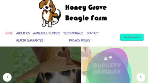Screenshot of