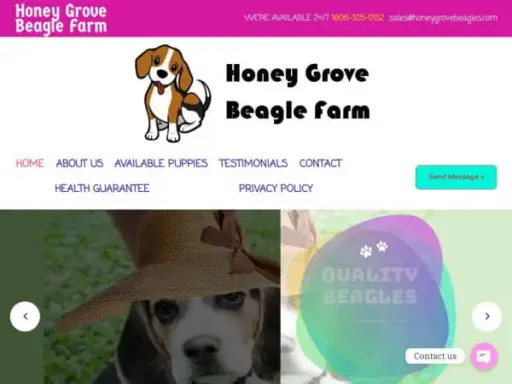 Screenshot of