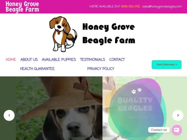 Screenshot of
