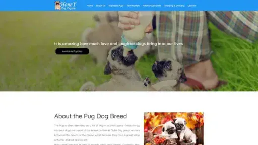 Screenshot of