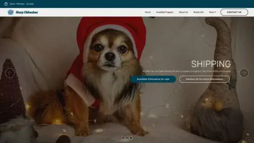 Screenshot of
