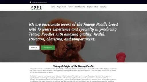 Screenshot of