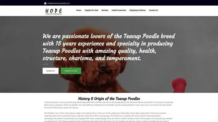 Screenshot of