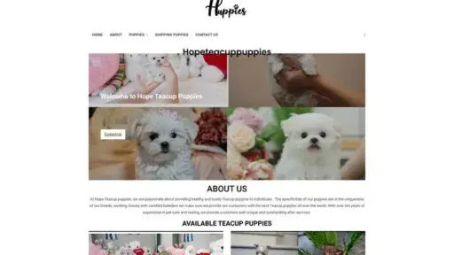 Screenshot of