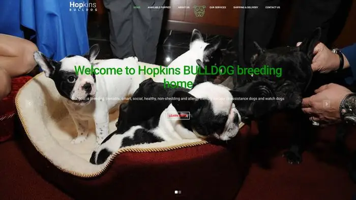 Screenshot of
