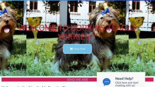 Screenshot of
