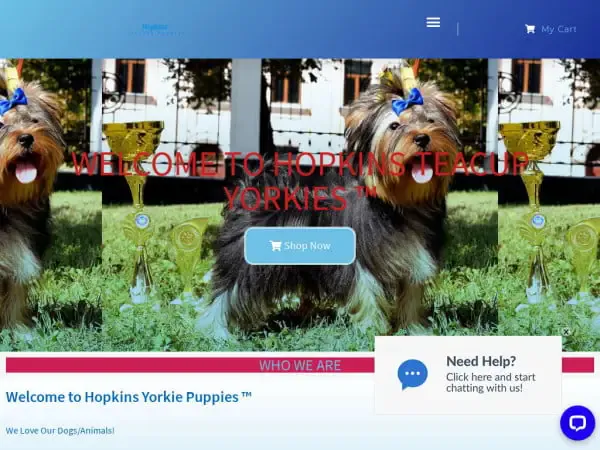 Screenshot of