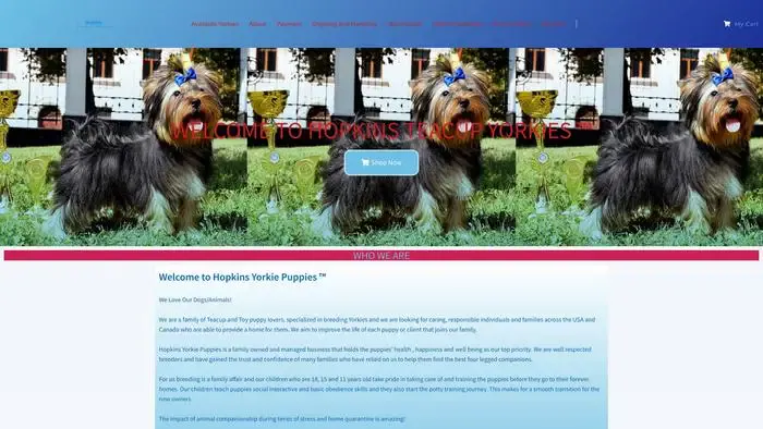 Screenshot of