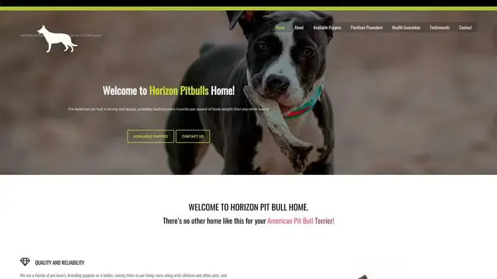 Screenshot of