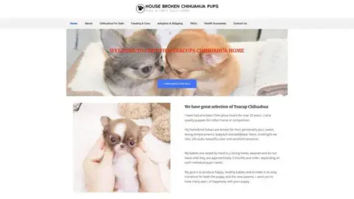 Screenshot of