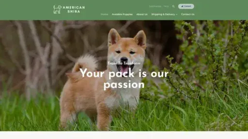 Screenshot of