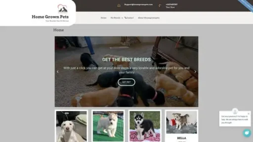 Screenshot of