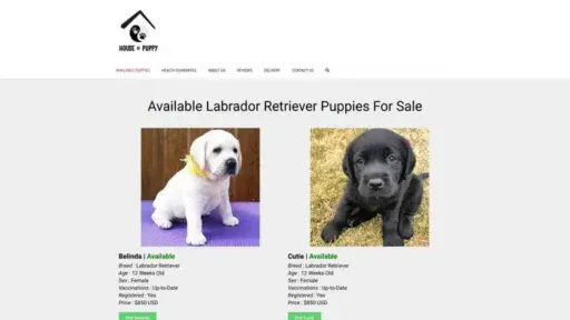 Screenshot of