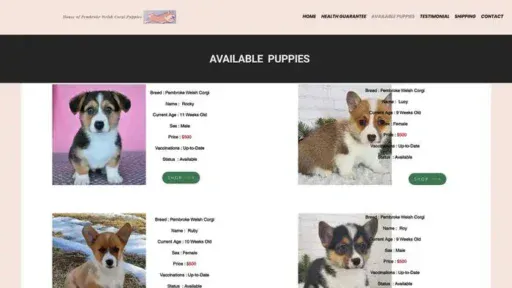 Screenshot of