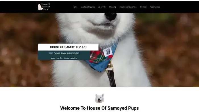 Screenshot of