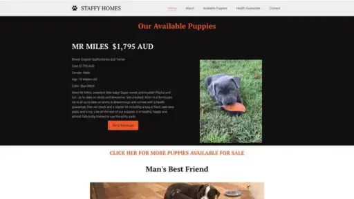 Screenshot of