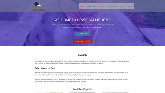 Screenshot of