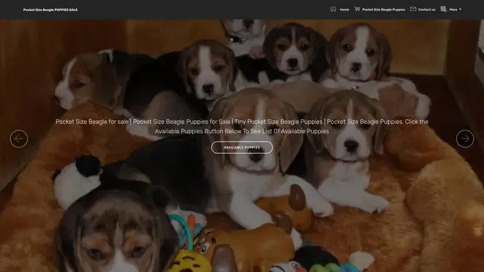 Screenshot of