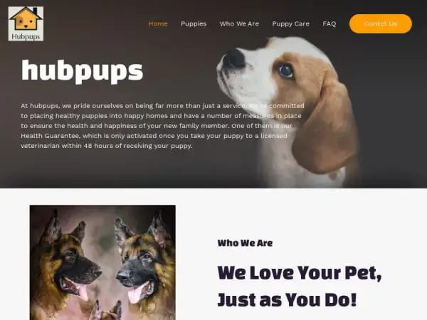 Screenshot of