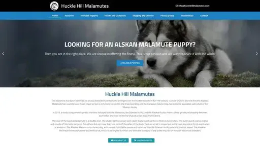 Screenshot of