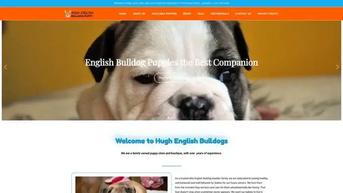 Screenshot of