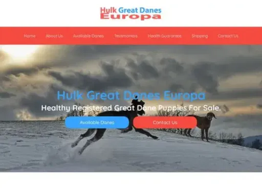Screenshot of