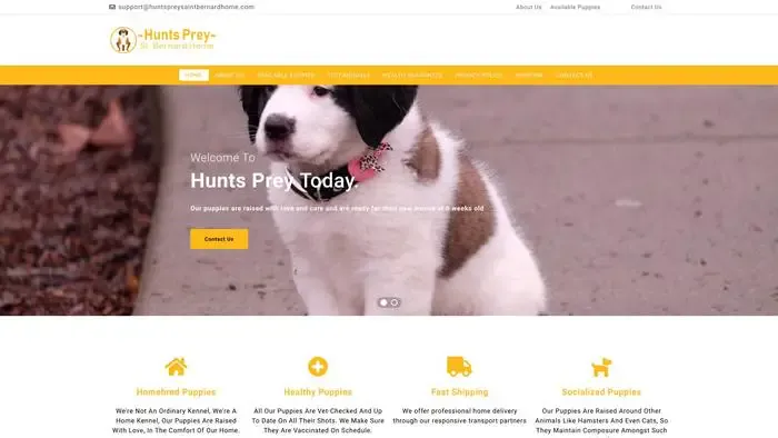 Screenshot of