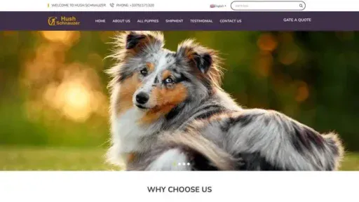 Screenshot of