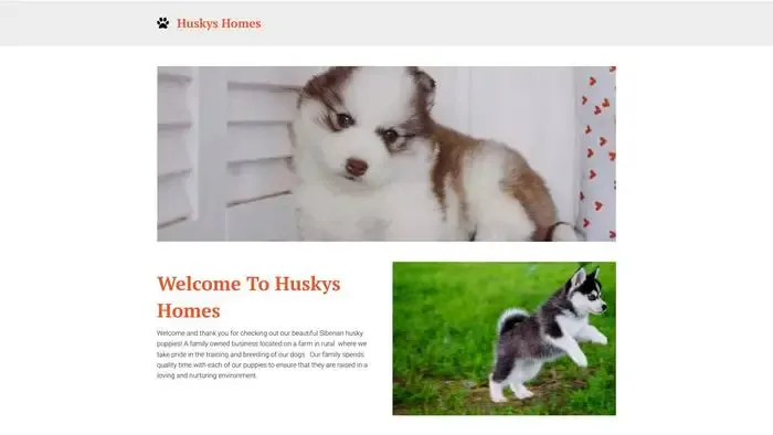 Screenshot of