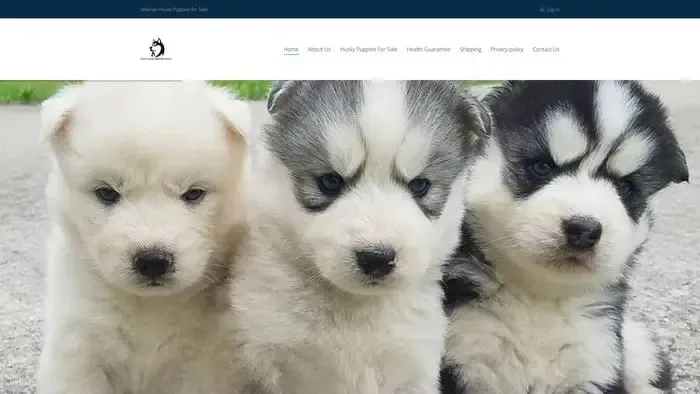 Screenshot of