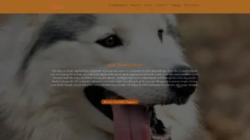 Screenshot of