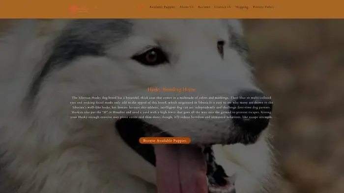 Screenshot of