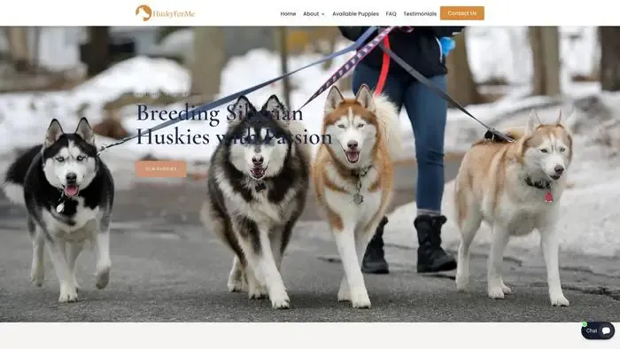 Screenshot of