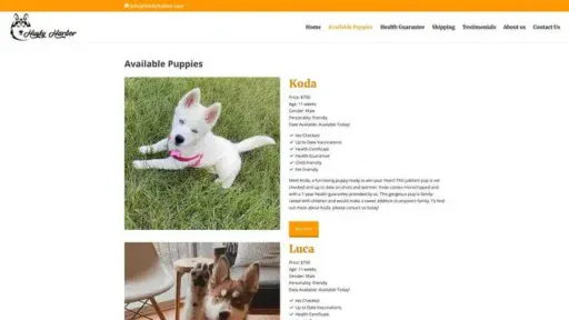 Screenshot of