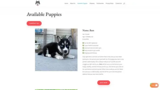 Screenshot of