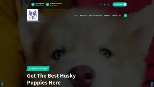 Screenshot of