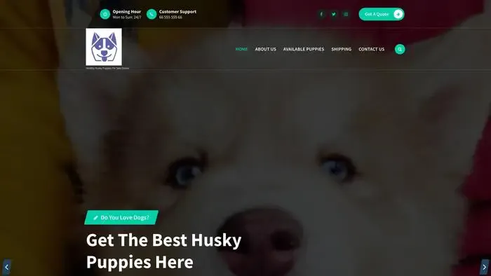 Screenshot of