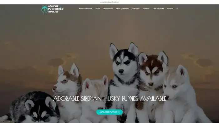 Screenshot of