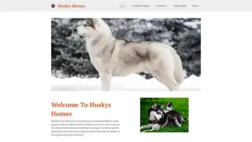 Screenshot of