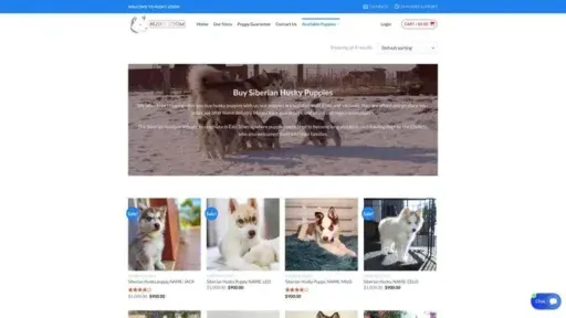 Screenshot of