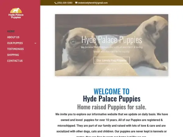 Screenshot of
