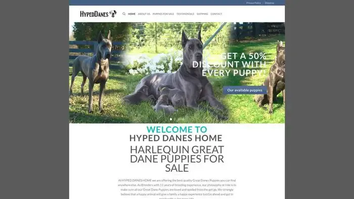 Screenshot of