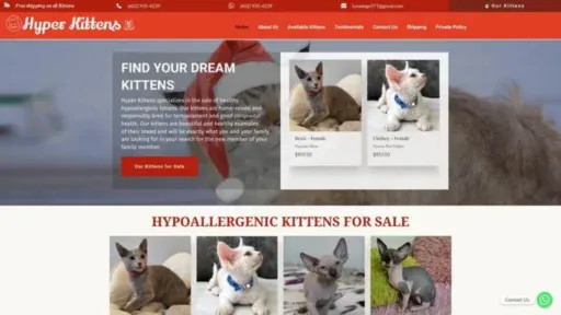 Screenshot of||