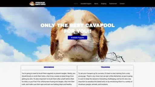 Screenshot of