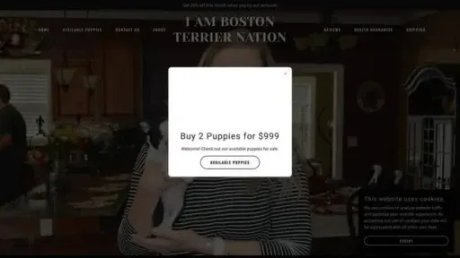 Screenshot of