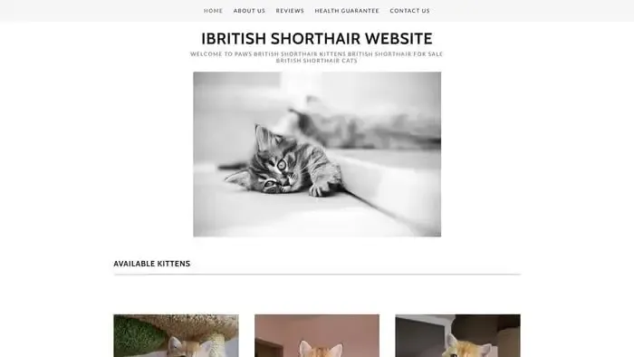 Screenshot of