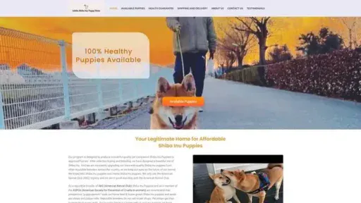 Screenshot of