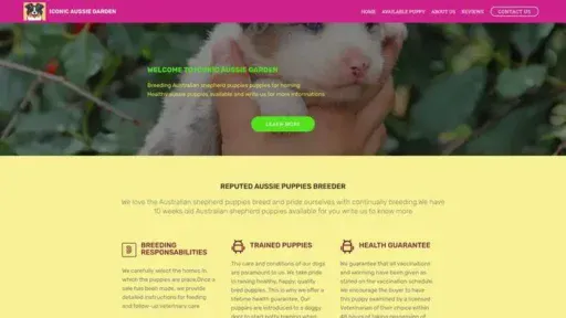 Screenshot of